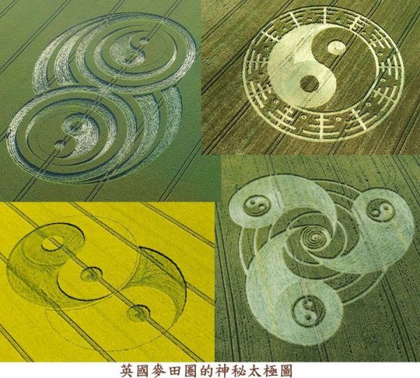 麦田圈的太极图